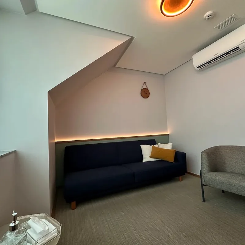 clinica-psicologo-consultorio-sofa-azul