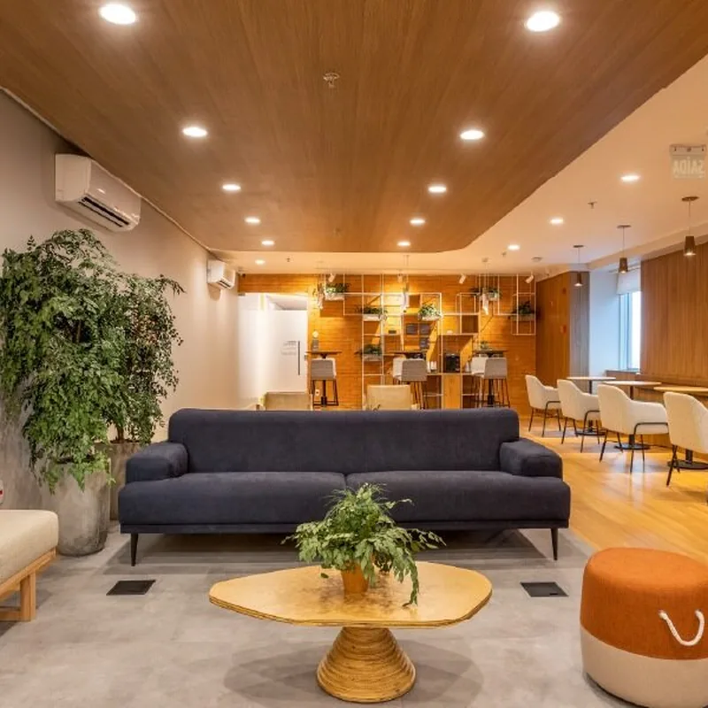 clinica-psicologo-sala-sofa-azul-plantas